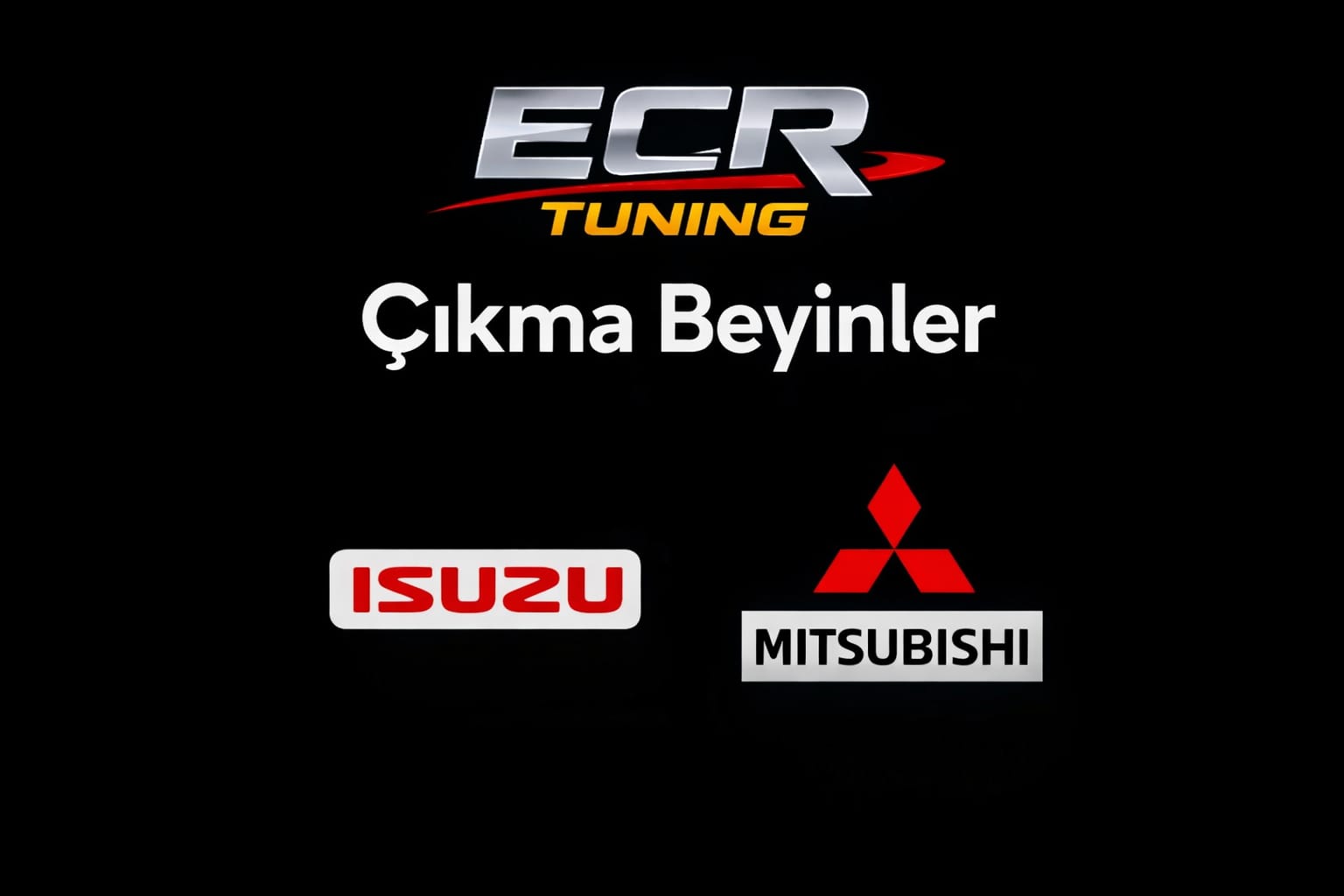 Çıkma Beyinler